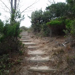 Stairs to the Pinnacles (107818)