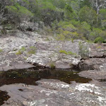 Bittangabee Creek (108013)