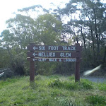 Sign near the start of the Six foot track (10907)