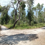 Lookout track intersection (116749)