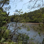 Great views of Cowan Creek on Warrimoo Track (118129)