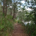 Meandering along the bank of Cowan Creek (118348)