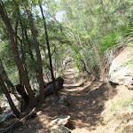 Warrimoo Track near Bobbin Head (119026)