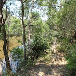 Cowan Creek next to Warrimoo Track (119134)