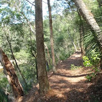 Along the Warrimoo Track (119164)