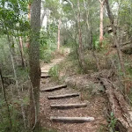 Log Steps on Birrawana Track (119800)