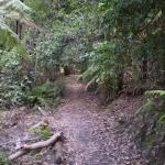 Along the Federal Pass Walking Track (12002)