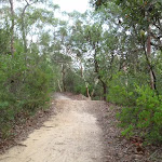 Heading up through the bush to the Lower Cambourne Track (120520)
