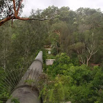 The Gordon Creek Pipe Bridge (123622)