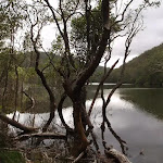 Middle Harbour Creek (123841)