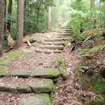 Historic steps on Two Creeks Track (125197)