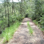 Davidson service trail (126334)
