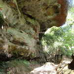 Cave on Governor Phillip track (126565)
