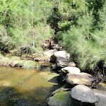 Stepping stones on Middle Harbour Creek (126649)