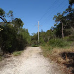 Currie Rd Management Trail (127477)