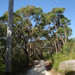 Currie Rd Service trail (127507)