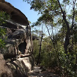 Bushtrack beside a short cliff (128020)