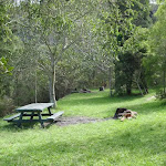 Bantry Bay picnic area (128458)