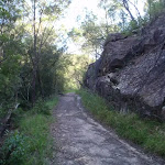 Gordon Creek Service trail (130036)