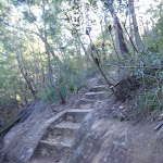 Steps in rock on Two Creeks Track (130225)