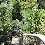 steps near top of Carroll creek (131452)