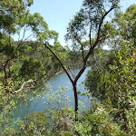 Middle Harbour Creek from Casuarina track (132031)