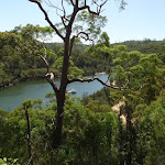 View of Middle Harbour from Casuarina Track (132103)