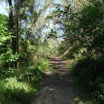 Heading through the bush (133171)