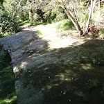 Rockshelf Beside Moores Creek (136105)