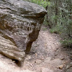 White markings on boulders (13807)