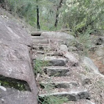 Steps (144702)