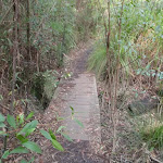 Bridge along the Red Hands Cave Track (145278)