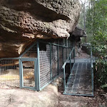 Red Hands Cave protective cage (145380)