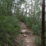 Track up to Lawsons Lookout (146370)