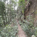 Track below cliffs (147168)