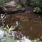 Clear pool in Magdala Creek (147423)