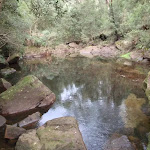 Pool in Sassafras Creek (147444)