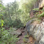 Track below cliffs (148245)