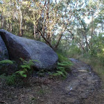 Rocks by the Blackwattle trail (152878)