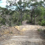 Stringybark Ridge management trail (153397)