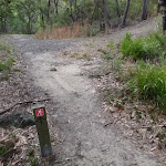 Junction of Stringybark ridge management trail and the GNW (153478)