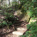 Another set of steps on the Callicoma Walk (154339)