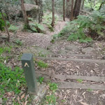 Track marker on the Callicoma Walk (154651)