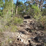 Climbing to the Willunga trig point (156460)