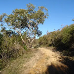 Along the Topham track (156571)