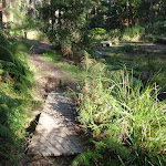Short boardwalks along Disturbed creek (156928)
