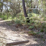 Evans Lookout toilets next to track (15970)