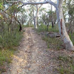 Trail near Hominy creek (160399)