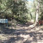 Near the start of the Shepherds Gully trail (163066)