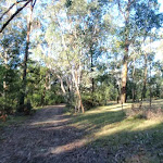 Simpson Track next to Ten Mile Hollow camping area (170555)